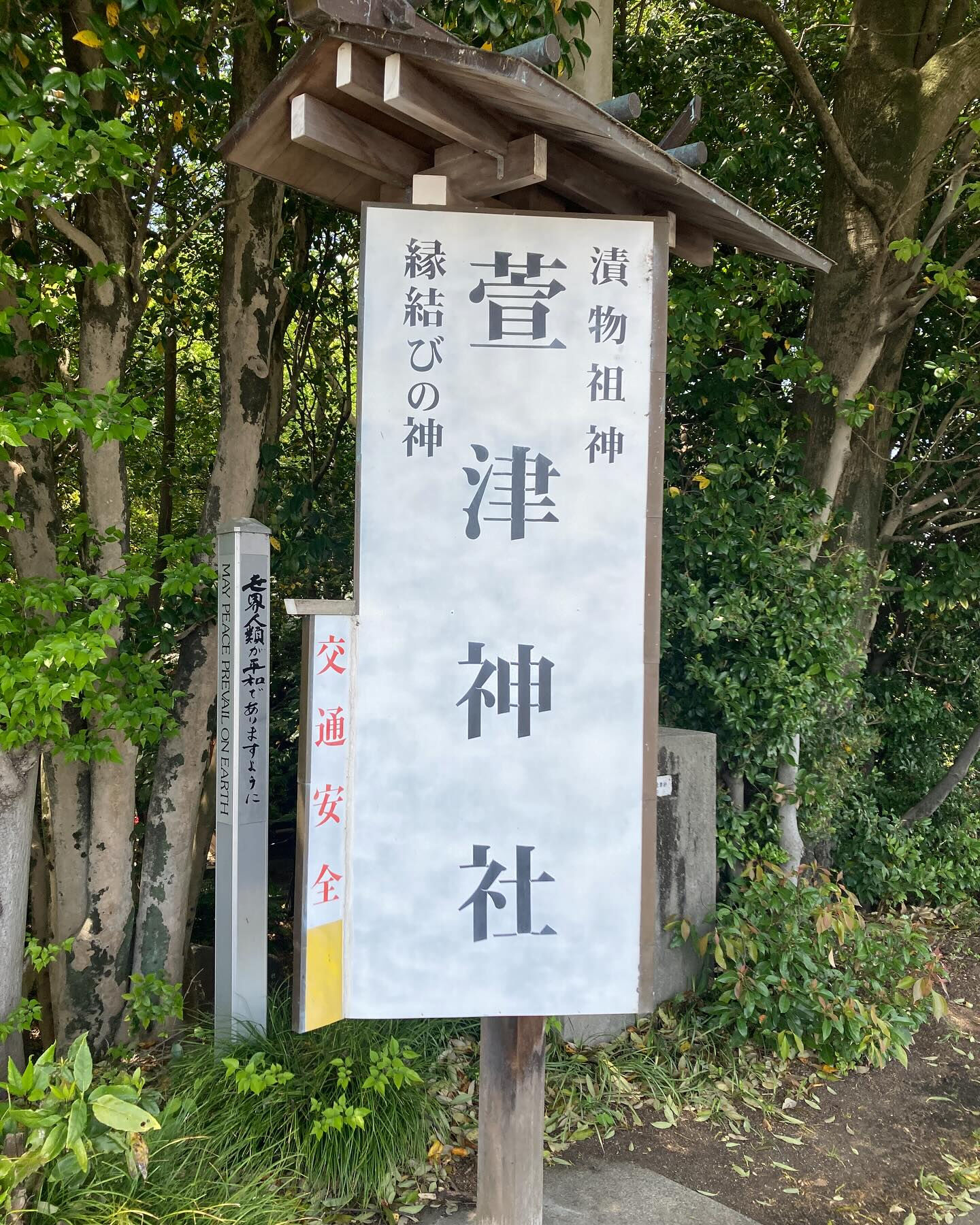 20250501