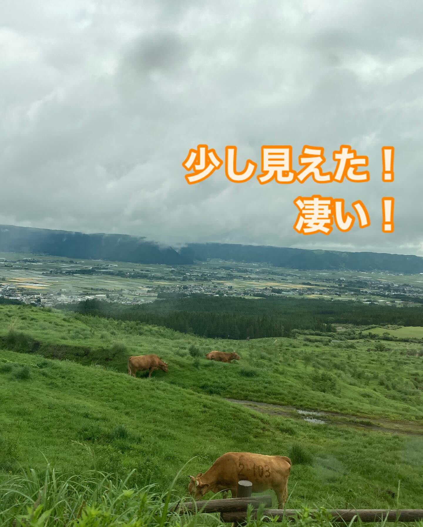 ✈️人生初の熊本・阿蘇へ！🌿