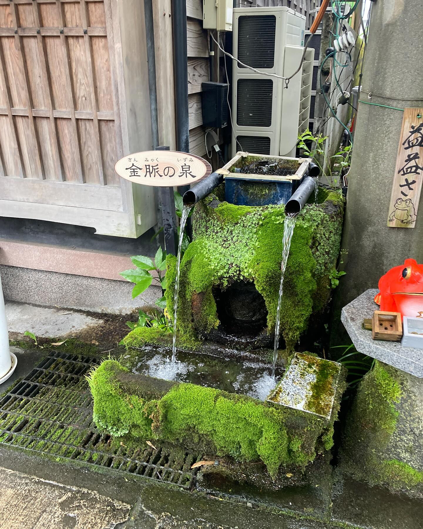 ✈️人生初の熊本・阿蘇へ！🌿