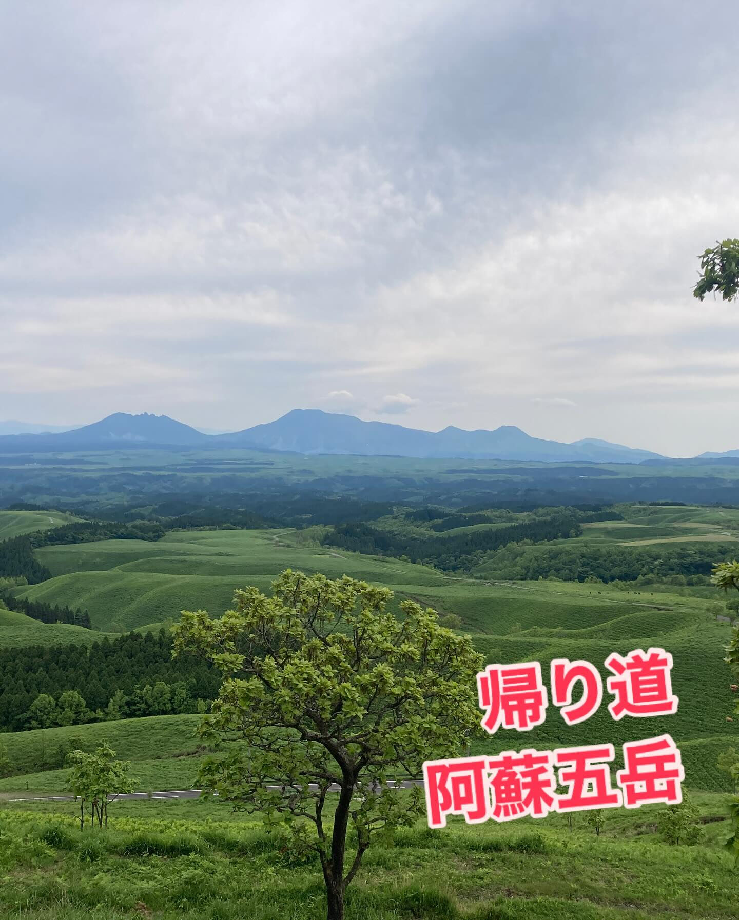 【熊本 阿蘇旅🌿2日目】