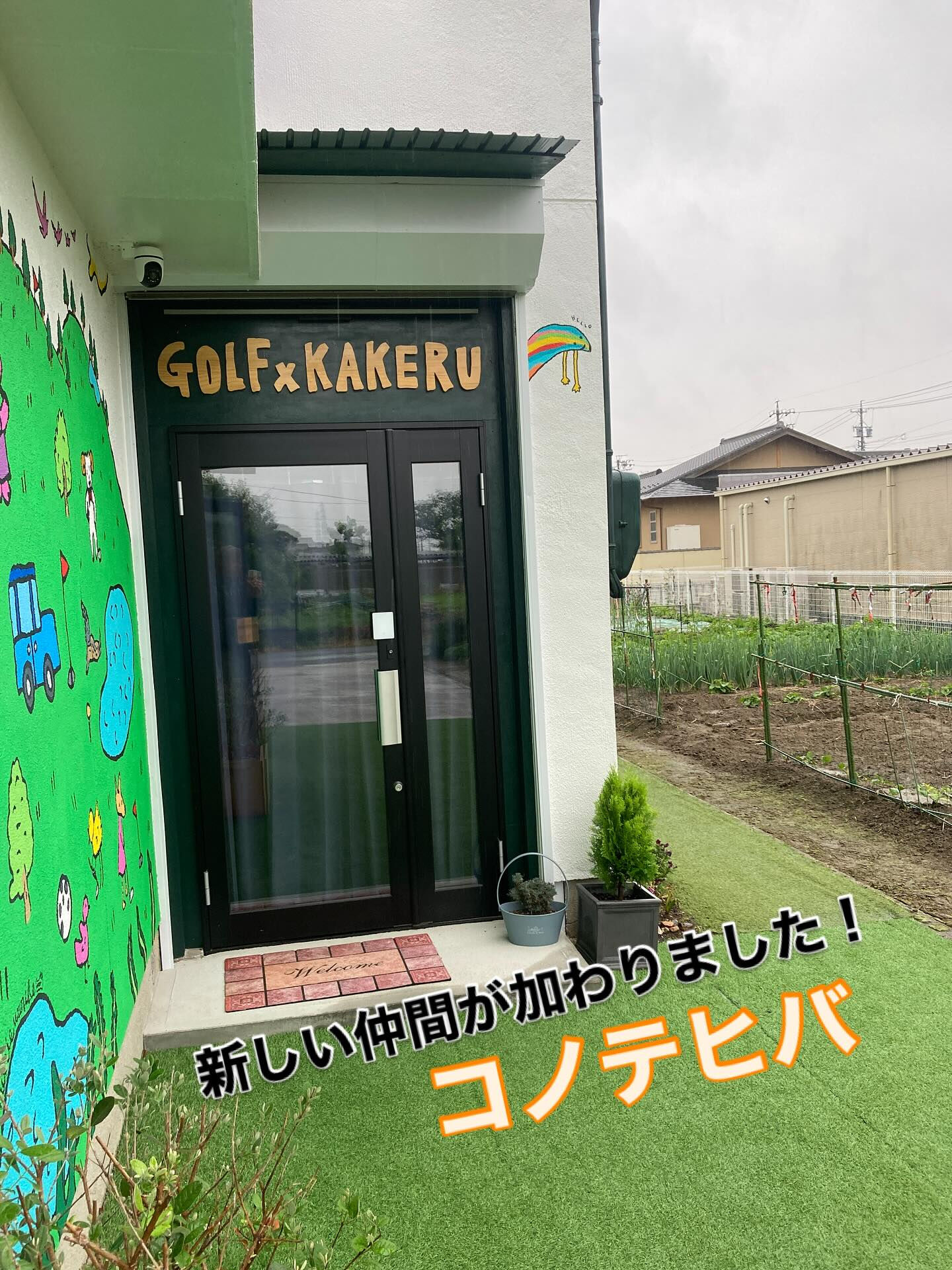 🌱玄関に新しい仲間が加わりました🌱