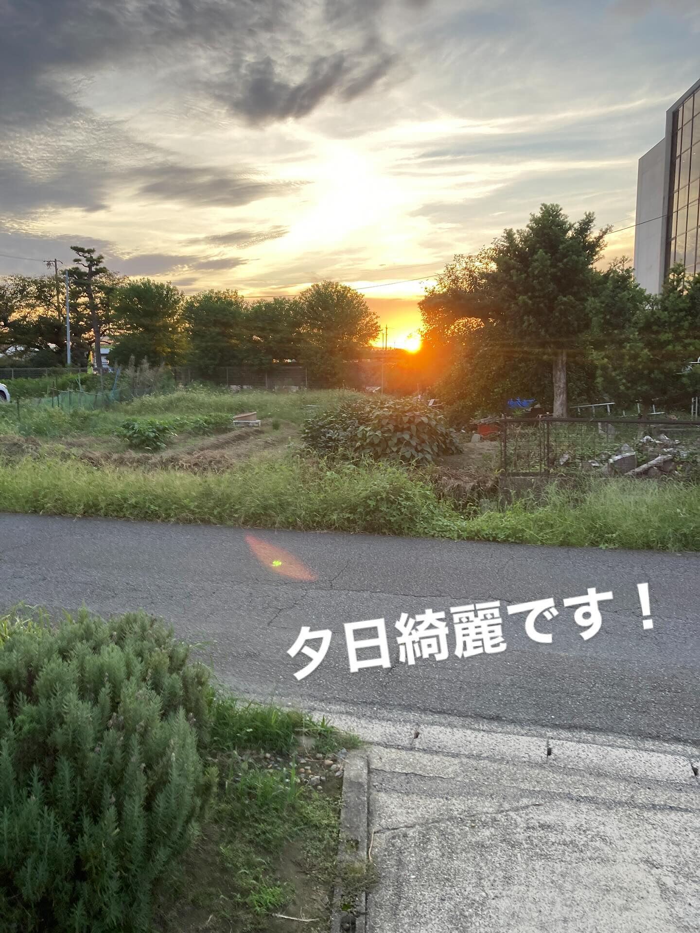 20250915