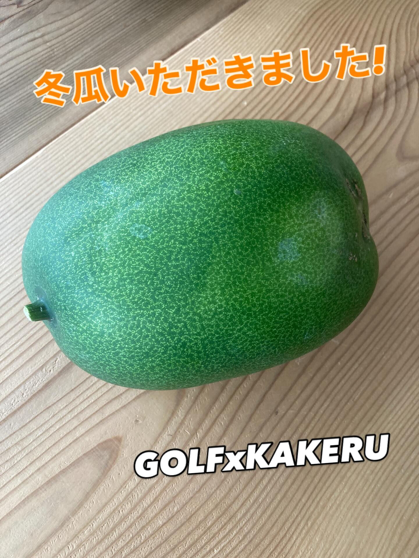 20251014