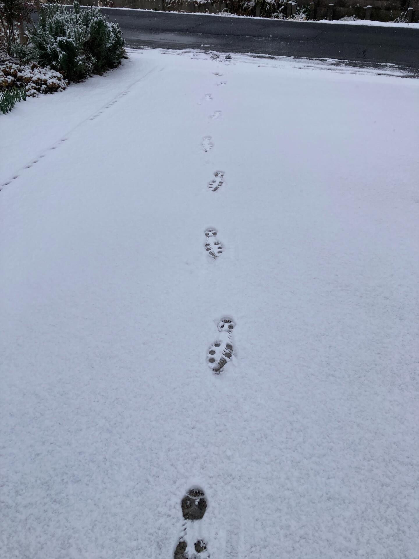 20260112