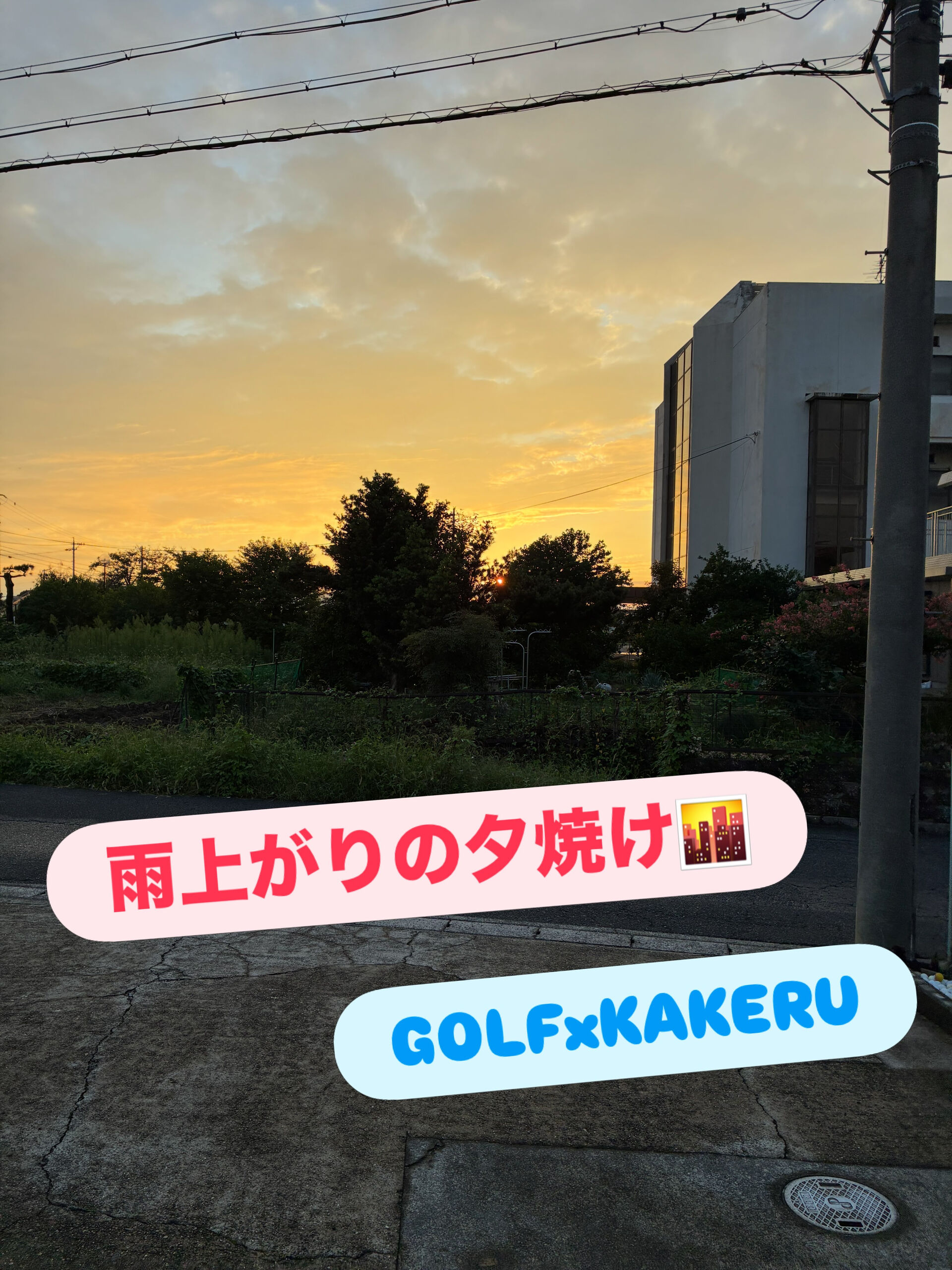 雨が上がって、素晴らしい夕焼けがお出迎え！🙌⛳️